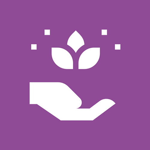 Wellness Health Takaful